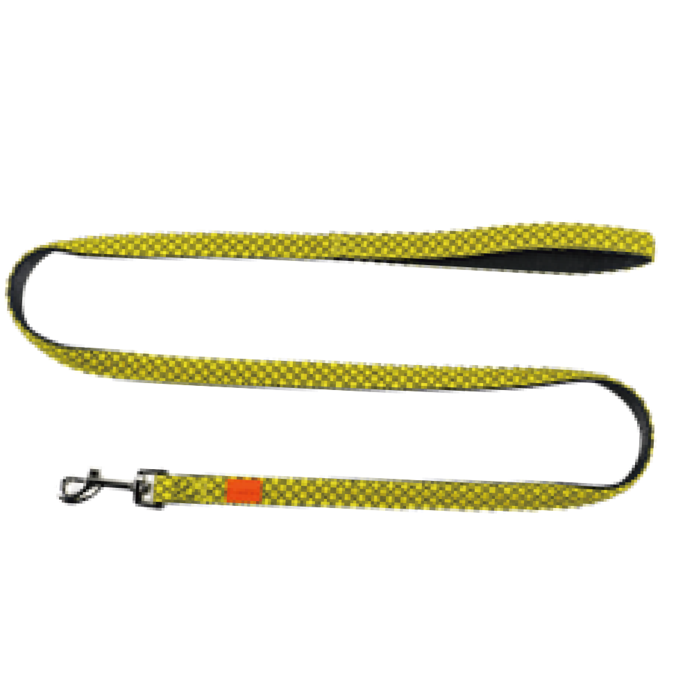 Leash for Dogs